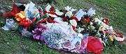 DSC_0339